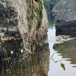 Willard Pond State Park - Whitefield