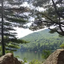 Willard Pond State Park - Whitefield