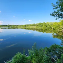Allendale Farmers Market - Allendale
