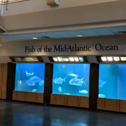Atlantic City Aquarium - Atlantic City
