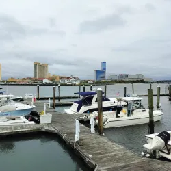 Atlantic City Aquarium - Atlantic City