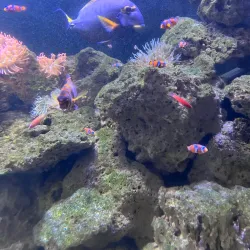 Atlantic City Aquarium - Atlantic City