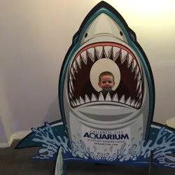 Atlantic City Aquarium - Atlantic City