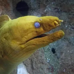 Atlantic City Aquarium - Atlantic City