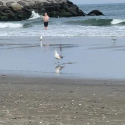 Atlantic City Beach - Atlantic City