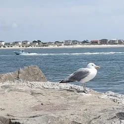 Atlantic City Beach - Atlantic City