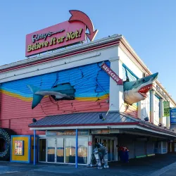 Ripley's Believe It or Not! Museum - Atlantic City