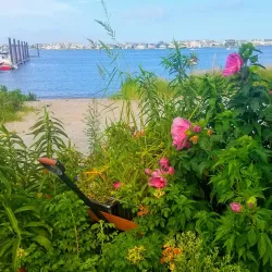 Barnegat Bay Marina - Barnegat