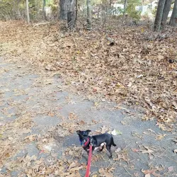 Barnegat Bay Water Trail - Barnegat