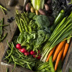 Barnegat Farmers Market - Barnegat