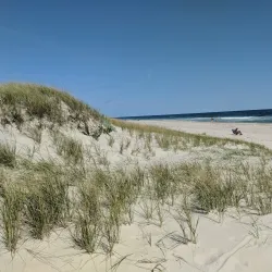 Island Beach State Park - Barnegat