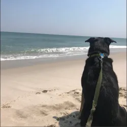 Island Beach State Park - Barnegat