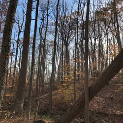 Basking Ridge Park - Basking Ridge