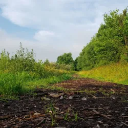 Basking Ridge Park - Basking Ridge