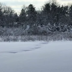 Basking Ridge Park - Basking Ridge