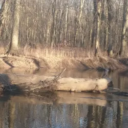Kennedy-Martin-Stelle Farmstead - Basking Ridge