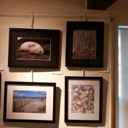 Kennedy-Martin-Stelle Farmstead - Basking Ridge