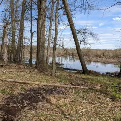 Lord Stirling Park - Basking Ridge