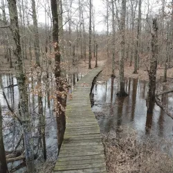 Lord Stirling Park - Basking Ridge