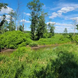 Lord Stirling Park - Basking Ridge