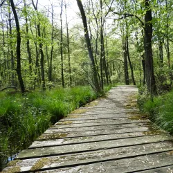 Lord Stirling Park - Basking Ridge