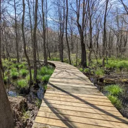 Lord Stirling Park - Basking Ridge