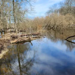 Lord Stirling Park - Basking Ridge