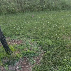 Mountain Park - Basking Ridge