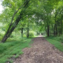 Mountain Park - Basking Ridge