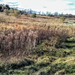 Mountain Park - Basking Ridge