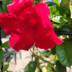 The Bernards Township Farmers Market - Basking Ridge