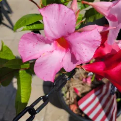 The Bernards Township Farmers Market - Basking Ridge