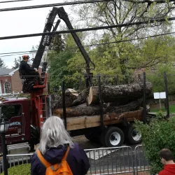 The Old Oak Tree - Basking Ridge
