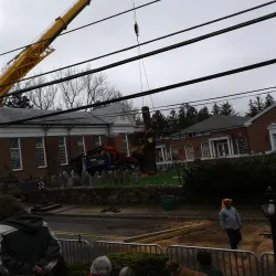 The Old Oak Tree - Basking Ridge