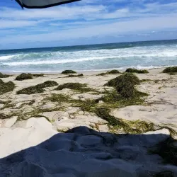 Beach Haven Beaches - Beach Haven