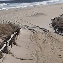 Beach Haven Beaches - Beach Haven