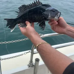 Beach Haven Fishing Pier - Beach Haven