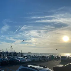 Beach Haven Yacht Club - Beach Haven