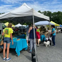 Bedminster Farmers Market - Bedminster Township