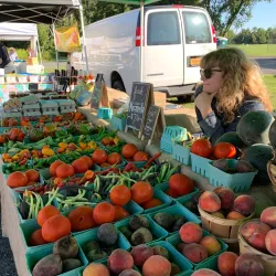 Bedminster Farmers Market - Bedminster Township