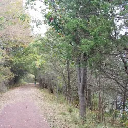 Bedminster Township Community Park - Bedminster Township