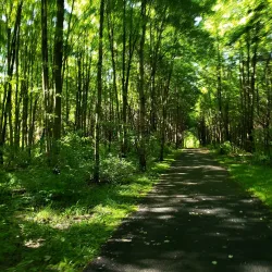 Bedminster Township Historical Society Museum - Bedminster Township