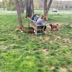 Bedminster Township Historical Society Museum - Bedminster Township
