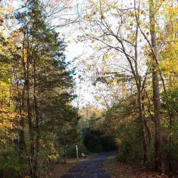 Bedminster Township Historical Society Museum - Bedminster Township