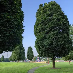Rock Spring Park - Bedminster Township