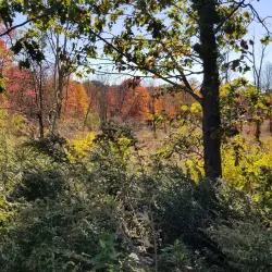 Rock Spring Park - Bedminster Township