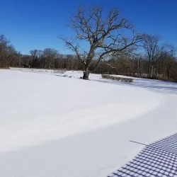 Rock Spring Park - Bedminster Township