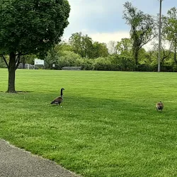 Rock Spring Park - Bedminster Township