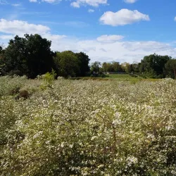 Duke Farms - Bergen County