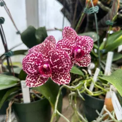 Duke Farms - Bergen County